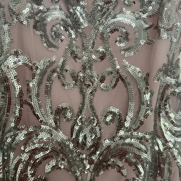 Windsor Sequin Mesh Bodycon Dress - Picture 6 of 7